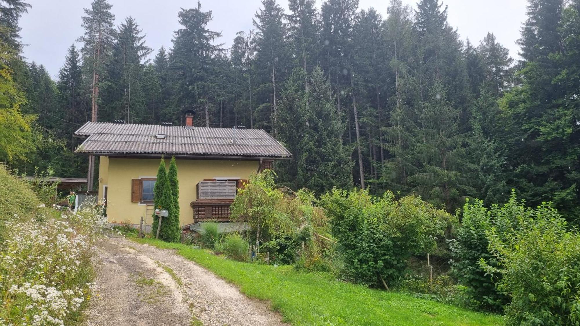 Fridas Place - Der Blick Ueber Ganz Villach - 160 M2 Ferienoase - Ganzes Haus Bis Zu 8 Personen Dış mekan fotoğraf
